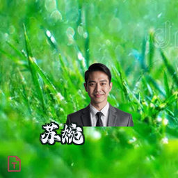 苏婉